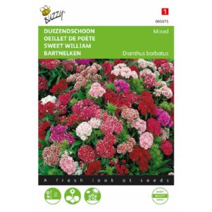 Dianthus, Duizendschoon dubbelbloemig gemengd