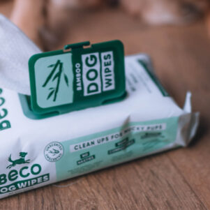 Bamboo Travel Wipes - Unscented - 20 Pack